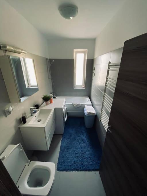 Apartament 2 Camere Modern Si Confortabil Gyüreg Kültér fotó